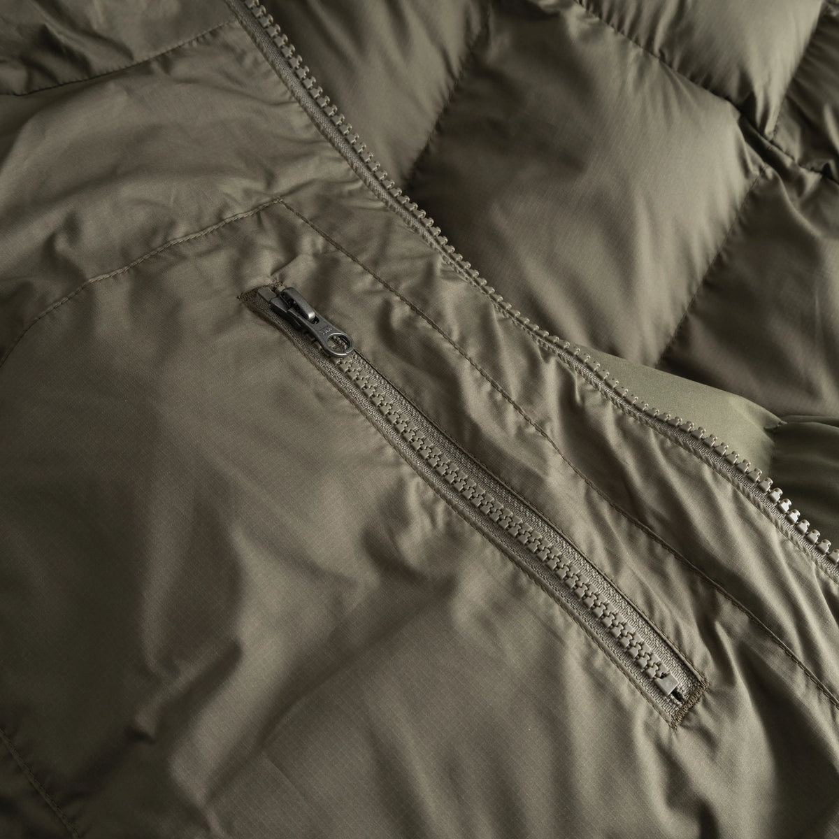 Light Kelp